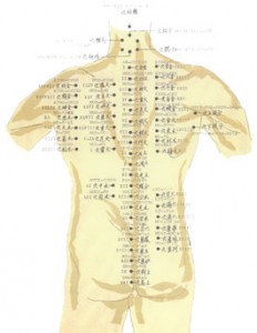 Thung's body Chart